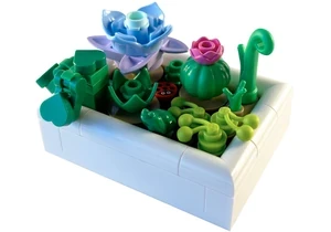 Lego 5010093  Botanicals  Winziger Wüstengarten