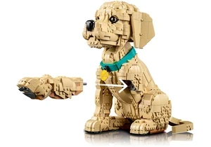 Lego 11384 Icons   Golden Retriever Welpe