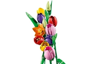 Lego 11501  Botanicals  Tulpenstrauß