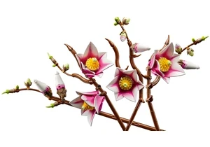 Lego 11510  Botanicals  Magnolienzweige