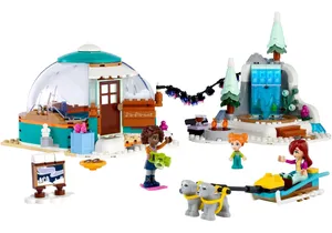 Lego 41760  Friends  Ferien im Iglu