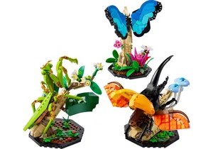 Lego 21342 Ideas   Die Insektensammlung