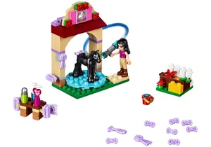 Lego 41123  Friends  Waschhäuschen für Emmas Fohlen
