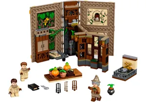 Lego 76384  Harry Potter  Hogwarts Moment: Kräuterkundeunterricht