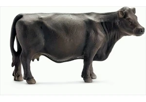 Schleich 13767  Farm World  Angus Kuh