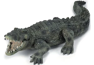 Schleich 14378  Wild Life  Krokodil