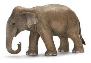 Schleich 14654  Wild Life  Asiatische Elefantenkuh