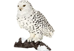 Schleich 14671  Wild Life  Schneeeule