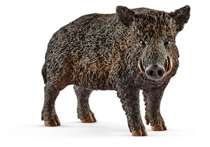 Schleich 14783  Wild Life  Wildschwein