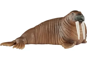 Schleich 14803  Wild Life  Walross