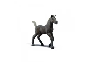 Schleich 81460  Horse Club  Sammelfohlen Darcy