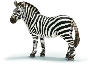 Schleich 14392  Wild Life  Zebra