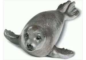 Schleich 14171  Wild Life  Seehund