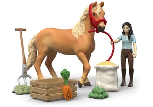 Schleich 42797 Horse Club Emilys Pflege Set