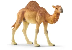 Schleich 14832  Wild Life  Dromedar