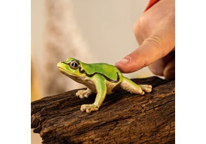 Schleich 14882  Wild Life  Europäischer Laubfrosch