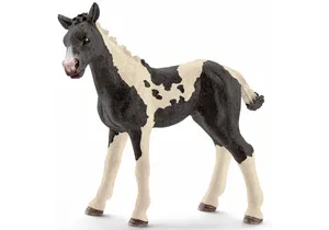 Schleich 13803  Farm World  Pinto Fohlen