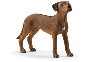 Schleich 13895  Farm World  Rhodesian Ridgeback
