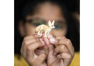 Schleich 14845  Wild Life  Wüstenfuchs