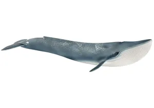 Schleich 14806  Wild Life  Blauwal