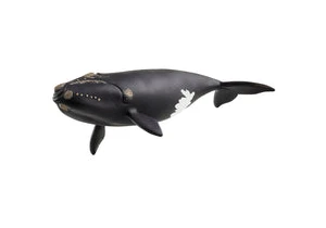 Schleich 14878  Wild Life  Nordatlantischer Glattwal