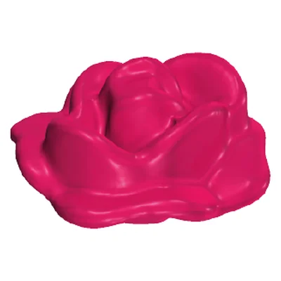 Rosenblüte offen