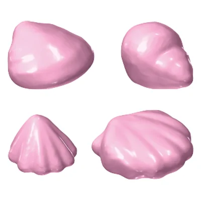 Muscheln