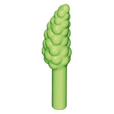 Blüte-Schachtelhalm