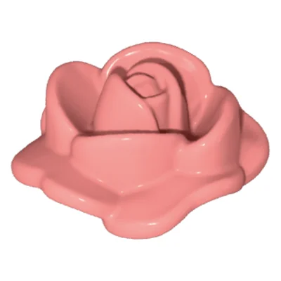 Rosenblüte offen
