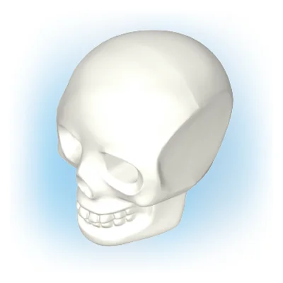 Totenkopf 2009