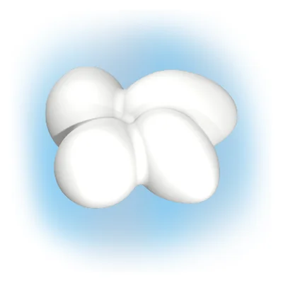 Eier