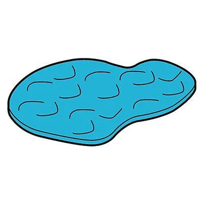 Wasserfläche-Waschbäre