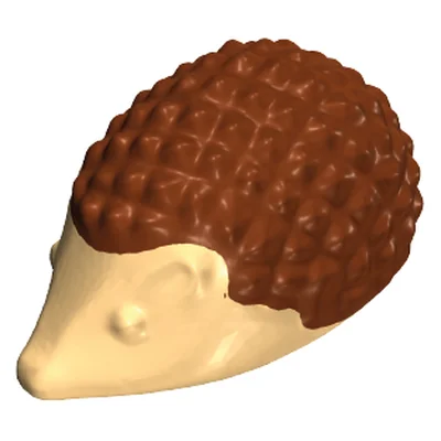 Igel-Erwachsen