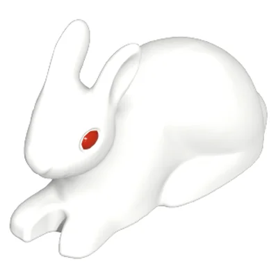 Hase 2010 liegend