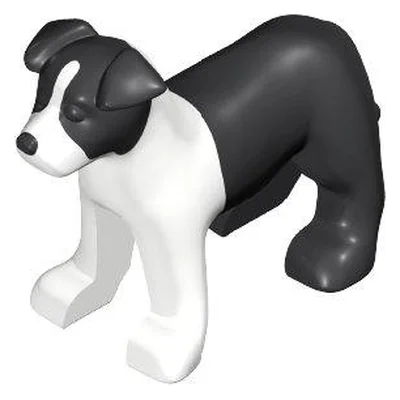 Border-Collie-Welpe