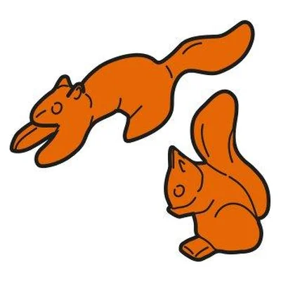 Eichhörnchen