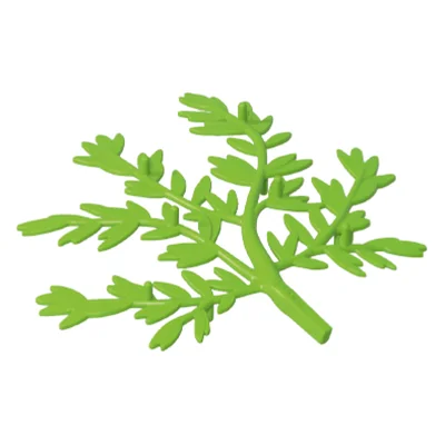 Ast-Feenbaum