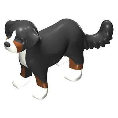 Sennenhund-Welpe steh.