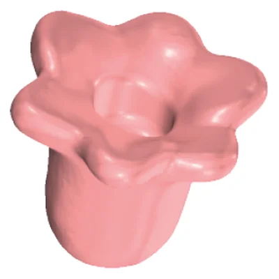 Tulpenblüte