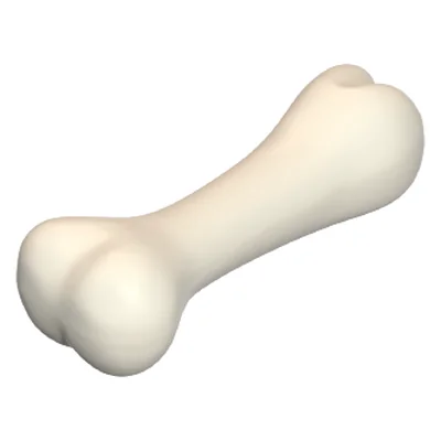 Knochen