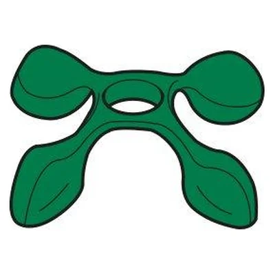 Kokosnuss II