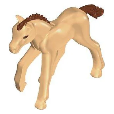 Pony-Fohlen