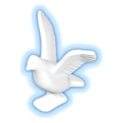 Taube Fliegend