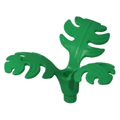 Pflanze-Gummibaum