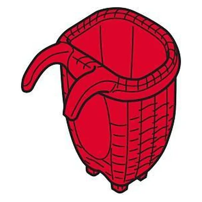 Buckelkorb