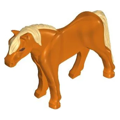Pony 11