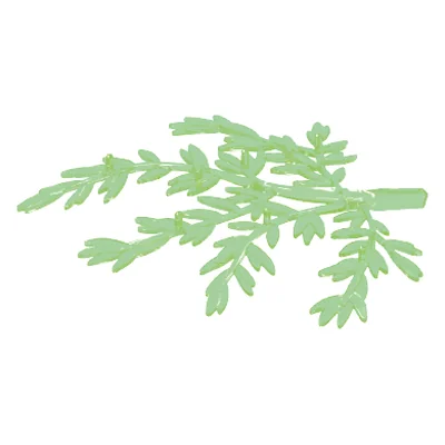Ast-Feenbaum