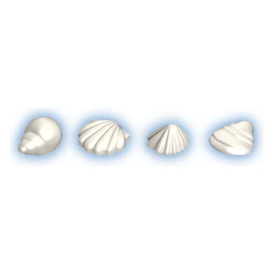 Muscheln