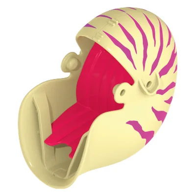 Nautilus-Gondel