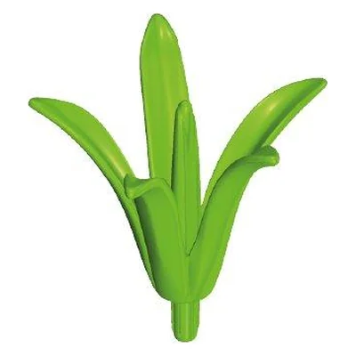 Agave-Blätter InnenIII